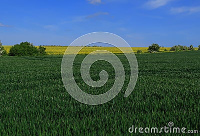 A view of the Beautiful Kent countryside around Minster Stock Photo