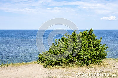 View of beautifull see landscape in Saaremaa, Estonia. Stock Photo