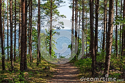 View of beautifull see landscape in Saaremaa, Estonia. Stock Photo