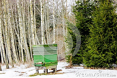 A view of beehive in a forest in winter day in Latvia Stock Photo