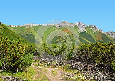 View of the Belianske Tatry Mountains Stock Photo