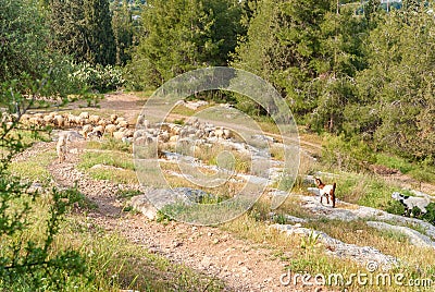 View on biblical landscape Hadid. Stock Photo