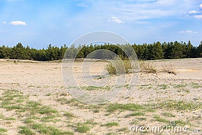 View of Bledow Desert in southern Poland Stock Photo