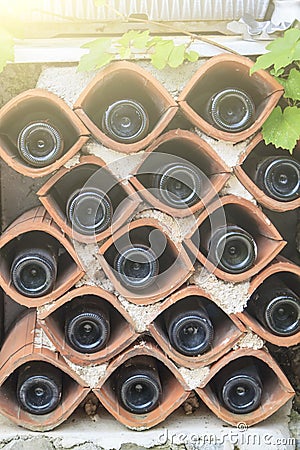 view of bottoms of bottles of wine lying in terracotta holders with vine Stock Photo