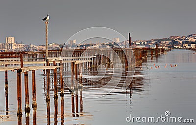 Bouzigues - Herault - Occitania - France Stock Photo