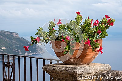 View of bowl of flowers and the Mediterranean Sea from the Terrace of Infinity at the gardens of Villa Cimbrone, Ravello, Italy Stock Photo