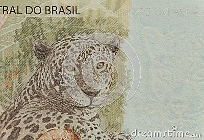 Brazilian money / fifty reais. Stock Photo