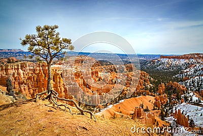 View of Bryce Canyon park at the top of the mountain, Utah USA Stock Photo