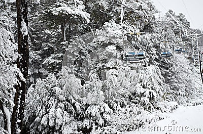 View of cable car and snowy forest on the Bayo Hill Cerro Bayo in Villa La Angostura, Argentine Patagonia Editorial Stock Photo
