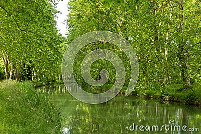 Tree-lined Canal of Garonne in France Stock Photo