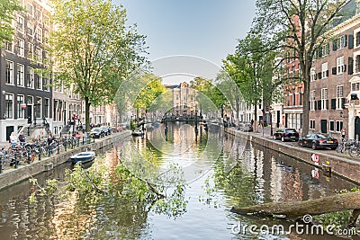 View canals with fallen tree Editorial Stock Photo