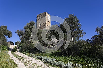 View of Casteldoria ruins in Sardinia Editorial Stock Photo