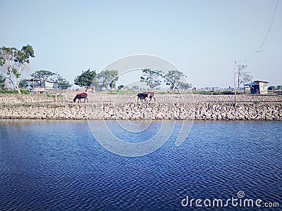 Lake Stock Photo