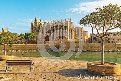 View on Cathedral of Santa Maria of Palma or La Seu with bench with nobody on Mallorca island, Majorca, Spain Stock Photo