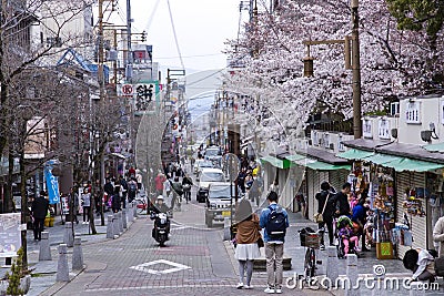 View of the cherry blossom at Sanjo Dori Street in Nara Editorial Stock Photo