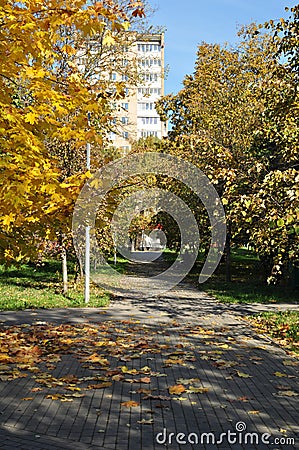 View from the city park to the high-rise building. Stock Photo