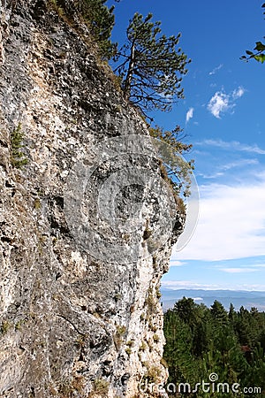 View of the cliff and pine trees on a sunny day in the ski resort of Bansko. Stock Photo