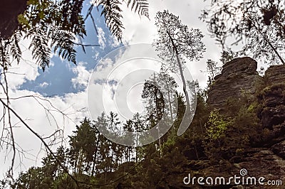 View of a cloudy sky between hilly forest Stock Photo