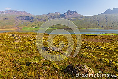 View of the coast of the Berufjordur fjord, at Pjodvegur, Iceland Stock Photo