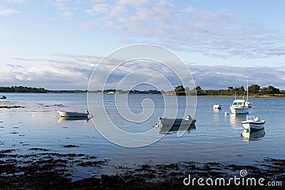 view of the coast of the river Editorial Stock Photo