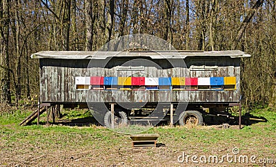 A view of the colorful apiary with wheels bees standing in a meadow surrounded by forest trees Stock Photo
