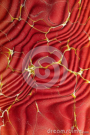 Nineteenth Century Marbled Paper Design Stock Photo