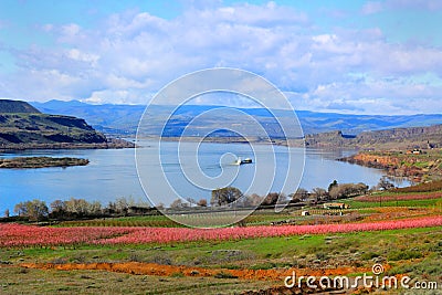 View of Columbia River Gorge Stock Photo