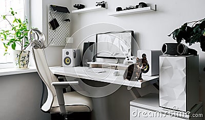 View comfortable home office workplace of creator with little fluffy kitten Stock Photo