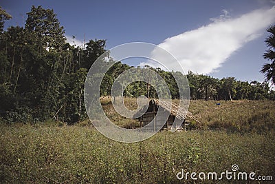 View of country farmer straw hut and meadow in forest Stock Photo