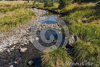 Crni Rzav river on Zlatibor mountain in Serbia Stock Photo
