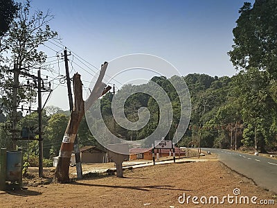 Dandeli forest and road passing through the trees of Dandeli forest, Karnataka, India Editorial Stock Photo