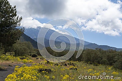 View on dangerous active stratovolcano Mount Etna on east coast of island Sicily, Italy Stock Photo