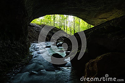 View from dark cave into green forest Stock Photo