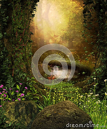 View through a dark forest Stock Photo