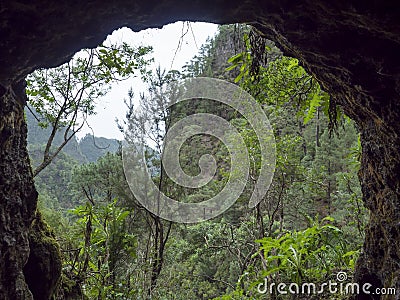 View from dark water duct tunnel through running water to lush jungle at hiking trail Los Tilos at mysterious laurel Stock Photo