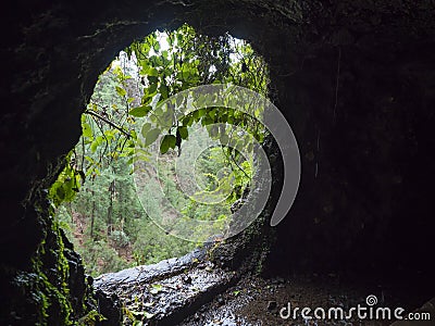 View from dark water duct tunnel through running water to lush jungle at hiking trail Los Tilos at mysterious laurel Stock Photo