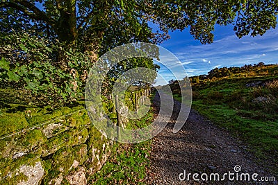 View of Dartmoor from the path to Wistmans Wood Stock Photo