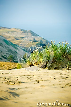 View of Dead Dunes, Nida, Lithuania Stock Photo