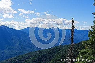 View from Deer Park Campground, Olympic National Park Stock Photo