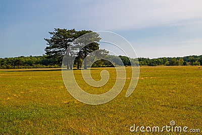 View of the dendrological garden in Askania-Nova reserve, Ukraine Stock Photo