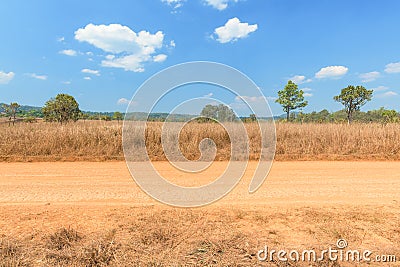 Dirt road in countryside Stock Photo