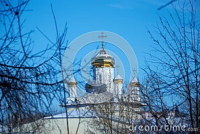 View of domes of Orthodox Church through branches of trees in winter Stock Photo