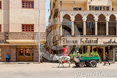View of donkey cart on city street in Luxor, Egypt Editorial Stock Photo