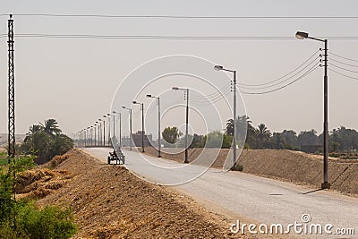 View of a donkey cart on long and empty road in Luxor, Egypt Editorial Stock Photo
