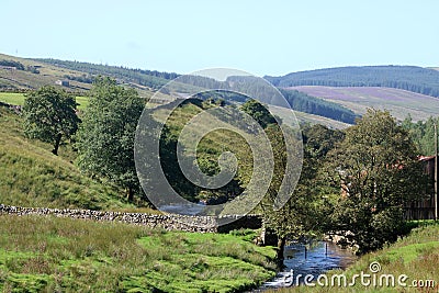 View down Clough River, Garsdale, North Yorkshire Stock Photo