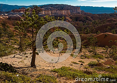 View from down of hoodoos Stock Photo