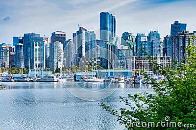 View of Downtown Vancouver, tree in foreground, from Stanley park Stock Photo