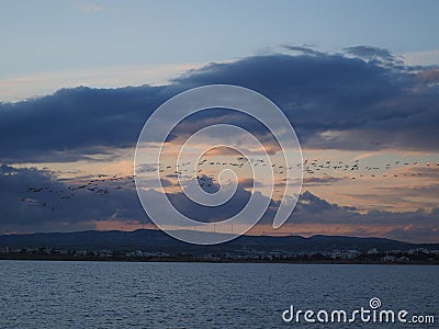 View of the dramatic sky during sunset with birds flamingos at salt lake near larnaka during winter holidays Stock Photo