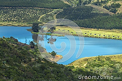 View of Dry Winter Vegetation Hills Valleys and Dam Stock Photo