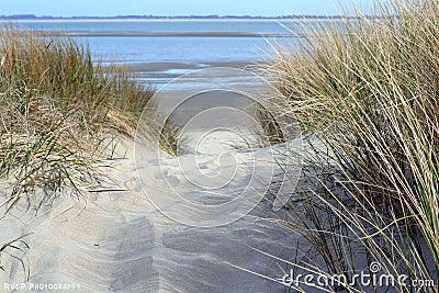 On my way to the beach - the Netherlands Stock Photo